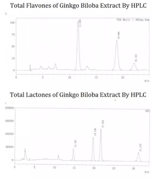 Ginkgo extract.jpg